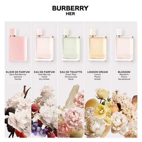 burberry her elixir vs eau de parfum|burberry her perfume reviews.